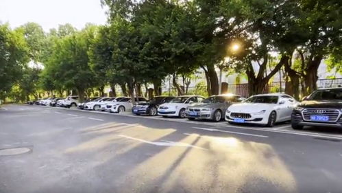 深圳開(kāi)啟“柜臺(tái)辦”便捷服務(wù)新時(shí)代