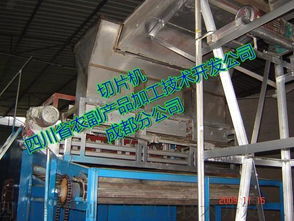 高效可靠的魔芋切片機——四川省農副產品加工技術開發公司成都分公司的技術開發成果